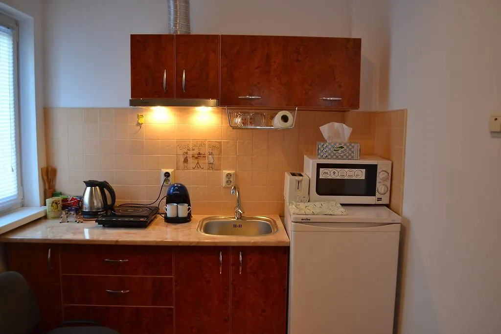 Victoria Studio Apartment Bucharest Romania