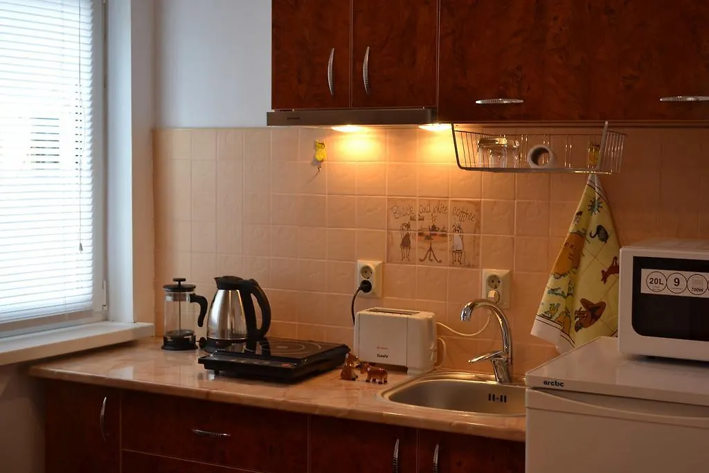 Apartamento Victoria Studio Bucareste